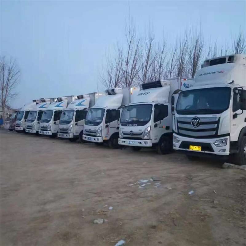 虞城县若羌县进仓物流：专线直达的多元货运风采